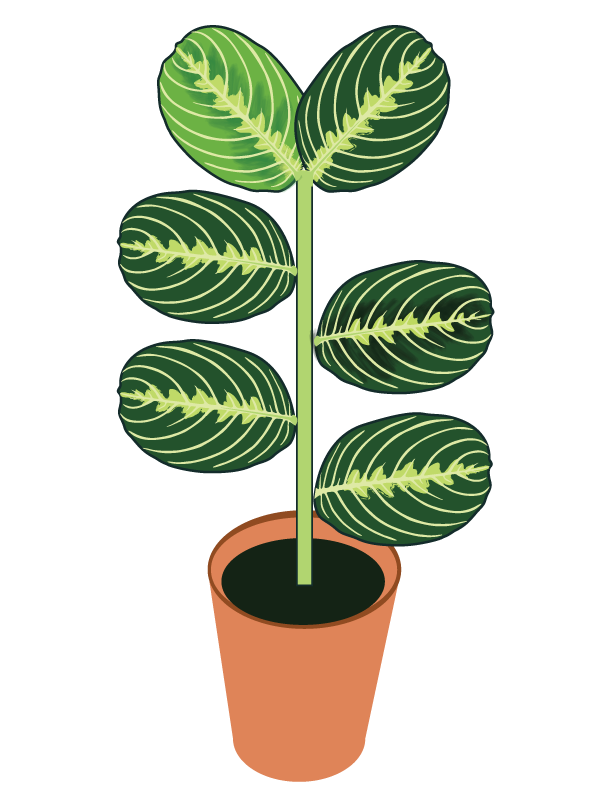 Illustrator Artwork 6