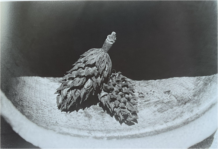 Still Life 1