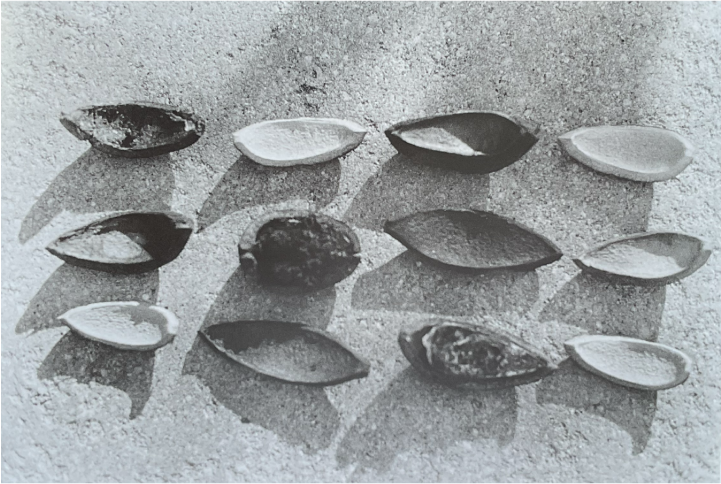 Still Life 3