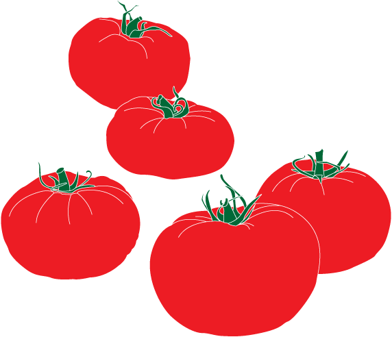 Tomatoes illustration